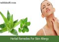 Herbal Remedies for Skin Allergy