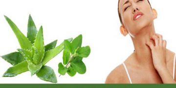 Herbal Remedies for Skin Allergy