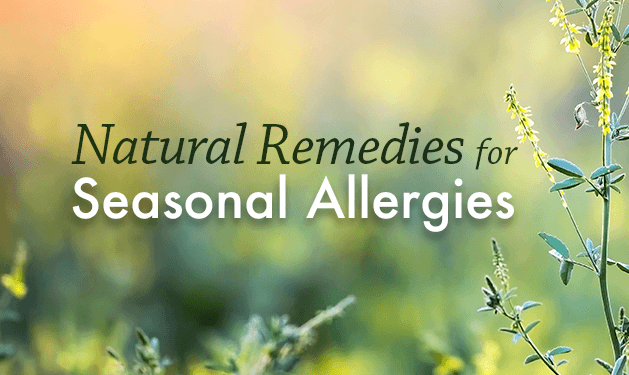 Herbal Remedies for Seasonal Allergies