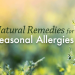 Herbal Remedies for Seasonal Allergies