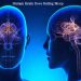 What the Human Brain Does During Sleep
