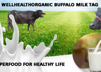 WellHealthOrganic Buffalo Milk Tag