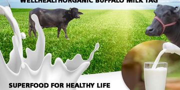 WellHealthOrganic Buffalo Milk Tag