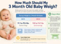How Much Should My 3 Month Old Weigh